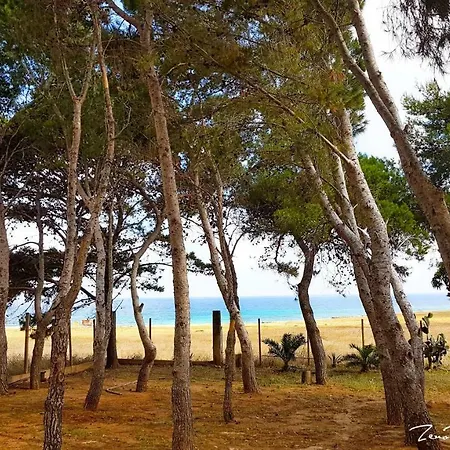 Pineta Sul Mare